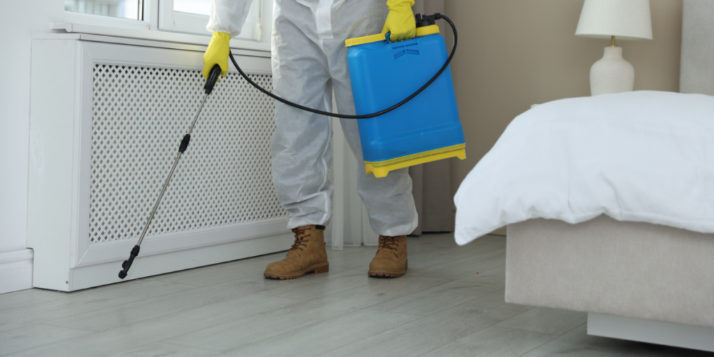 Why Infinity Business Services is the Right Choice
