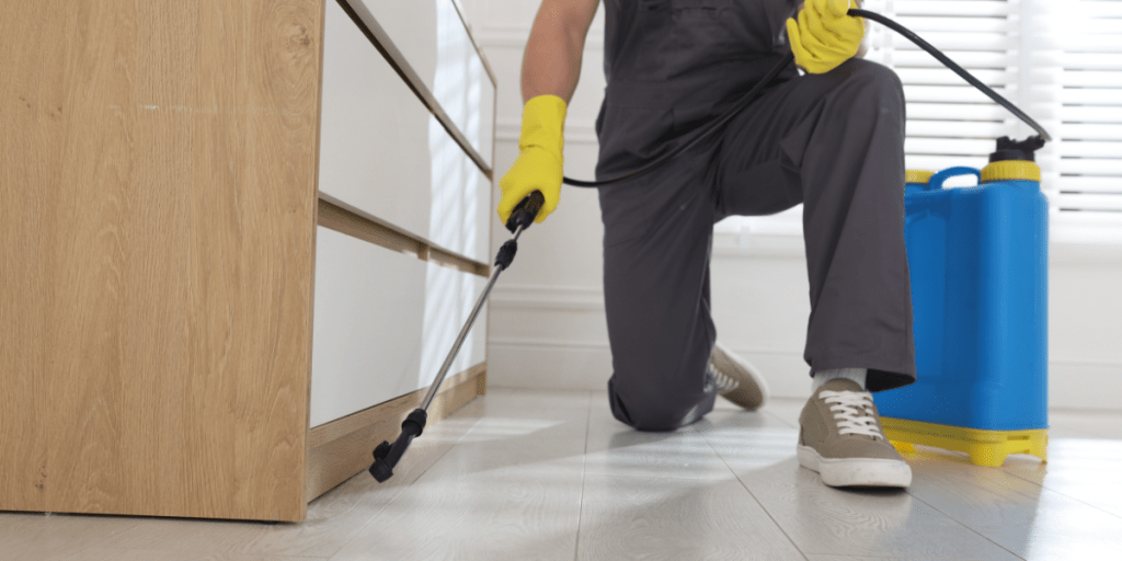 How Infinity Business Services Supports Pest Control Companies