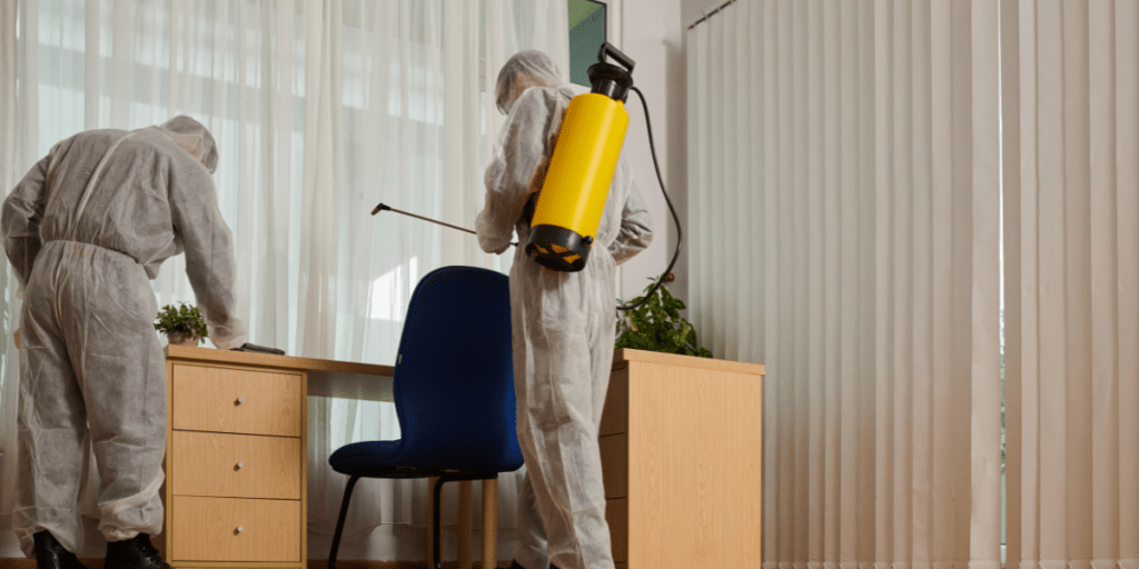 How Infinity Business Services Supports Pest Control Companies