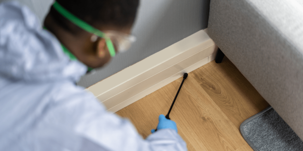 Why Pest Control Businesses Need Reliable Pest Control Route Scheduling Support