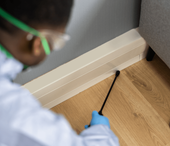 Why Pest Control Businesses Need Reliable Pest Control Route Scheduling Support