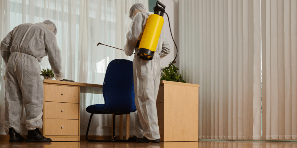 Why Every Pest Control Company Needs Professional Bookkeeping Service